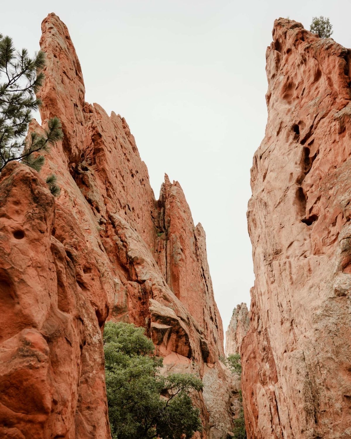 Towering red sandstone fins in Garden of the Gods, a narrow gap of sky between them